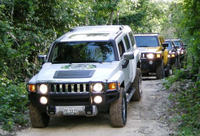 Circuit en Hummer tout compris: plongée avec tuba, descente en tyrolienne et zoo interactif