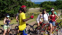 Early Morning Biking Tour on Nevis