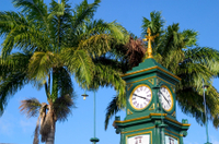 St. Kitts Landausflug: Entdeckungstour St. Kitts St. Kitts Landausflug: Entdeckungstour St. Kitts