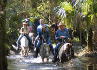 Hoch zu Ross im Forever Florida-Schutzgebiet Hoch zu Ross im Forever Florida-Schutzgebiet