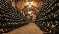 Visite des vignobles de Cavas Freixenet au départ de Mexico