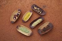 Bush Tucker (Traditional Indigenous Food) and Reptiles Tour from Ayers Rock