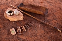 Excursion à la découverte du Bush Tucker au départ d'Ayers Rock