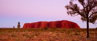 Highlights von Ayers Rock: Sonnenuntergangs-Tour zum Uluru und Sonnenaufgangs-Tour zu den Kata Tjuta in kleiner Gruppe Highlights von Ayers Rock: Sonnenuntergangs-Tour zum Uluru und Sonnenaufgangs-Tour zu den Kata Tjuta in kleiner Gruppe
