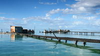 Full Day Guided Abrolhos Fly and Flipper Tour from Geraldton image 1 Full Day Guided Abrolhos Fly and Flipper Tour from Geraldton image 1