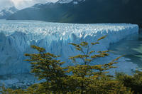 El Calafate City Tour