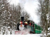 Excursion d'une demi-journée au parc national de la Terre de Feu avec promenade sur le Train du bout du monde en option image 1 Excursion d'une demi-journée au parc national de la Terre de Feu avec promenade sur le Train du bout du monde en option image 1