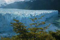 Visite de la ville d'El Calafate