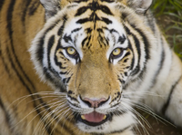 Zoo de Buenos Aires