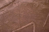 Excursion d'Une journée avec visite aérienne des lignes de Nazca et îles Ballestas au départ de Lima