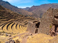Excursion d'Une journée dans la Vallée Sacrée, à Pisac et Ollantaytambo, au départ de Cusco