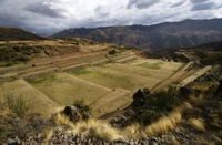 Excursion dans la vallée méridionale au départ de Cuzco : Tipon, Huaro et Musée des pierres sacrées Excursion dans la vallée méridionale au départ de Cuzco : Tipon, Huaro et Musée des pierres sacrées
