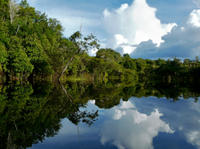 Iquitos Round-Trip Transfer: Cruise Port to Iquitos Hotels