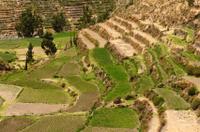 Private Tour: Arequipa Countryside Tour Including Sabandia Mill and Founder's Mansion