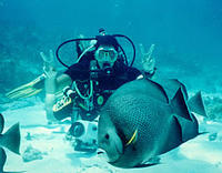 Cancun Resort Scuba Diving Course
