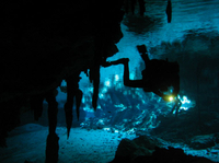 Plongée sous-marine à deux bouteilles Dans les cenotes (grottes) de Cancún