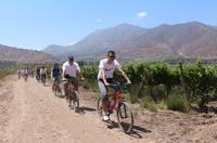 Santa Rita Winery Bike and Wine Tour