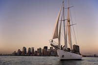 Croisière en voilier à New York with vin, fromage et charcuterie