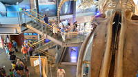 New Bedford Whaling Museum Admission