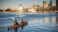 Melbourne Moonlight Kayak Tour