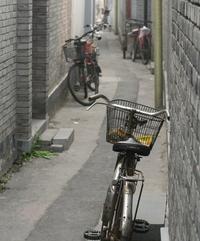 Visite de Pékin en vélo