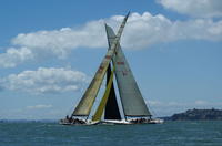 America's Cup Sailing on Sydney Harbour