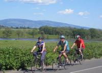 Aventure dans le pays des vignobles: circuit Œnologique en vélo et kayak