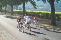 Healdsburg Wine Country Sip 'n' Cycle Bike Tour