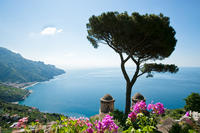 Sorrente en bord de mer: excursion d'Une journée à Positano, Sorrente et Amalfi