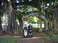 Segway-tour in Honolulu: Kapiolani Park, Makalei Beach Park en Queen's Surf Beach Segway-tour in Honolulu: Kapiolani Park, Makalei Beach Park en Queen's Surf Beach