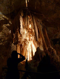 Blue Mountains et Jenolan Caves visite en petit groupe par 4WD