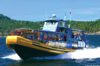 Whale-Watching Tour from Vancouver