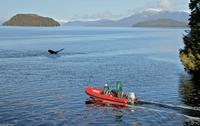 Excursion en bord de mer à Ketchikan: aventure en Zodiac