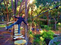 Enchanted Adventure Garden Canopy Tour and Mornington Peninsula from Melbourne