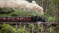 Melbourne Combo: Great Ocean Road plus Healesville Sanctuary and Puffing Billy and Melbourne Attraction Pass