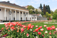 Excursion d'Une journée dans la forêt-Noire et à Baden-Baden au départ de Francfort