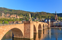 Excursion d une journée à Heidelberg et dans la Vallée du Rhin, au départ de Francfort