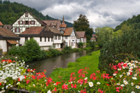 Excursion à la journée dans la forêt noire et à Strasbourg au départ de Francfort