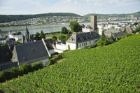 Private Tour: Customizable Rhine Valley Day Trip from Frankfurt