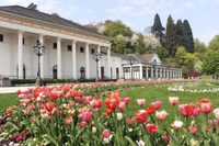 Tour à Heidelberg et Baden-Baden au départ de Francfort