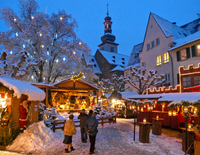 Visite du marché de Noël et dîner de Noël traditionnel allemand, au départ de Francfort