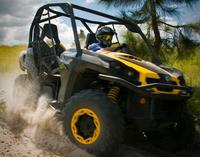 Dune Buggy Off-Road Experience