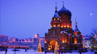 Private Day Tour: Harbin City and Ice and Snow World