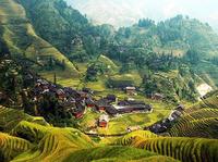 Private Tour: Longsheng Culture and Longji Rice Terraces