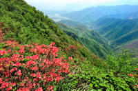 Private Tour: Yao Mountain and Tea Plantation from Guilin 