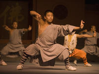 Visite privée: dîner et spectacle pékinois de kung fu chinois