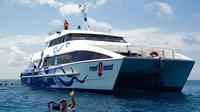 Deep Sea Divers Den: ReefQuest Premium Great Barrier Reef Diving and Snorkeling Cruise from Cairns image 1 Deep Sea Divers Den: ReefQuest Premium Great Barrier Reef Diving and Snorkeling Cruise from Cairns image 1