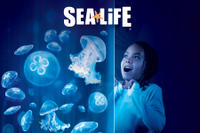 SEA LIFE Orlando Aquarium