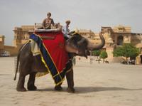 Private Tour: Amber Fort and Jal Mahal Including Elephant Ride 