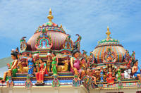 Private Tour: Half-Day Chennai Sightseeing with Government Museum and Kapaleeshwar Temple